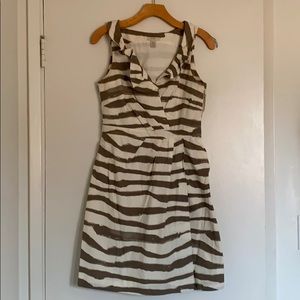 Zebra Inspired Zara Dress